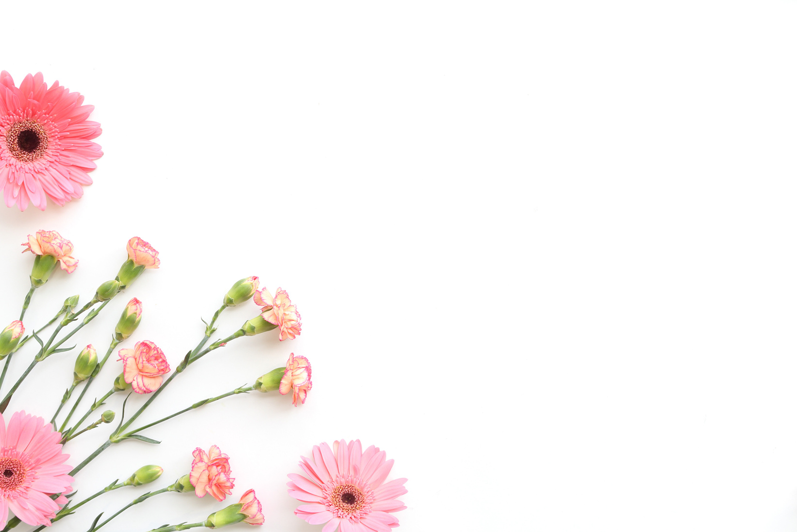 Decorative flower design with blank space
